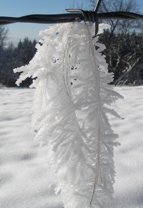 winter snow snow crystal