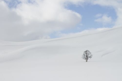 winter snow isolation