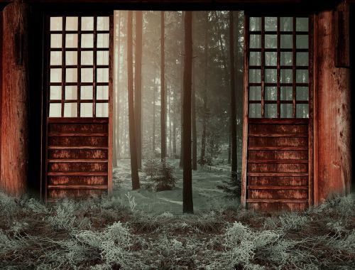 winter woods door
