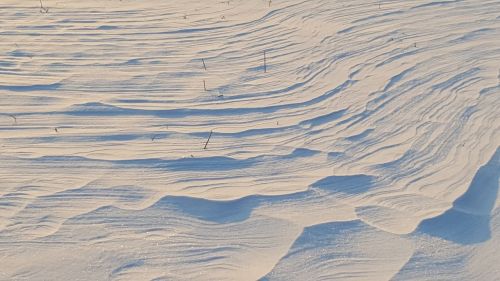 winter snow dune