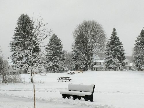 winter snow bench