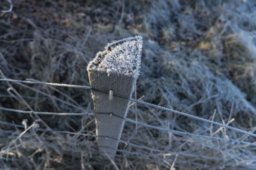 winter frost wintry