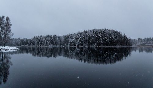 winter snow nature