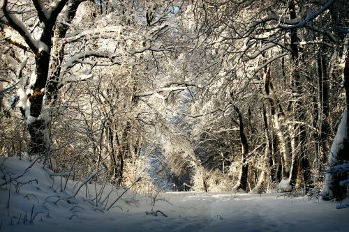 winter wintry snow