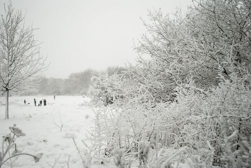 winter snow landscape