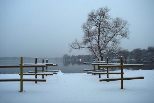 winter lake trees