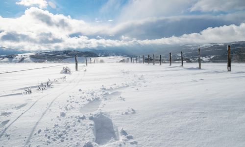 winter snow nature