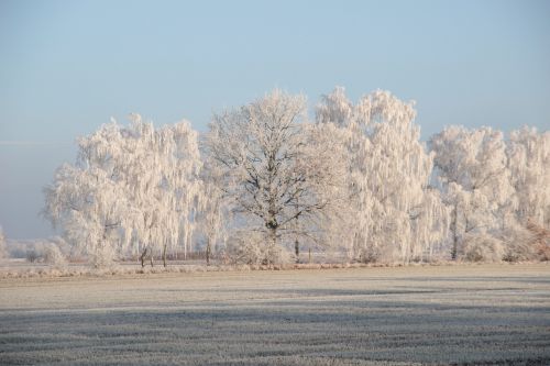 winter hoarfrost cold