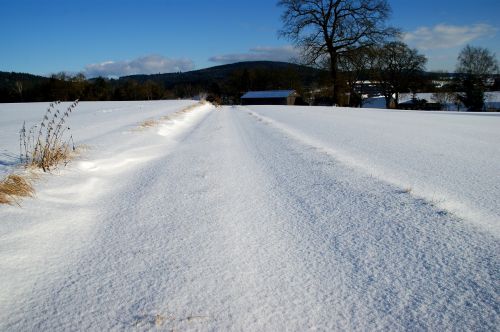 winter snow frost