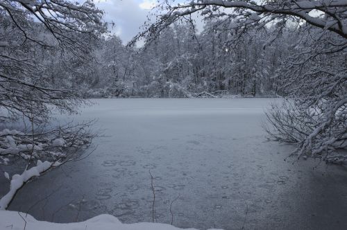 winter ice pond