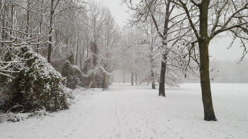 winter snow frost