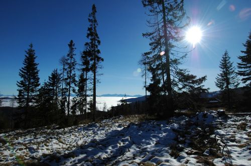 winter snow landscape