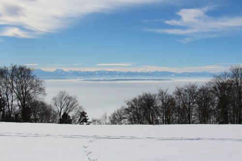 winter snow landscape