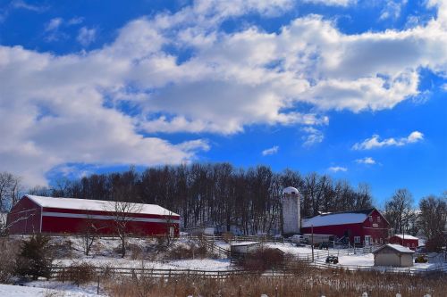 winter farm snow
