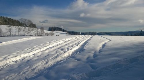 winter snow nature