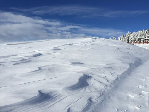 winter snow panoramic