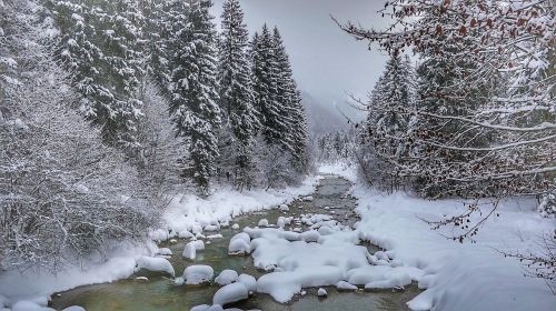 winter snow frost