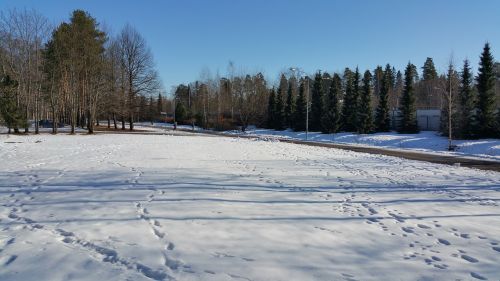 winter snow nature