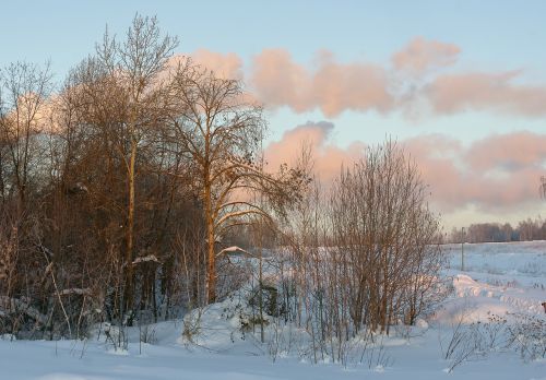 winter snow sky