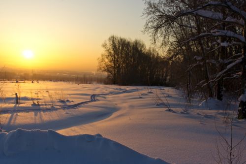 winter nature dawn