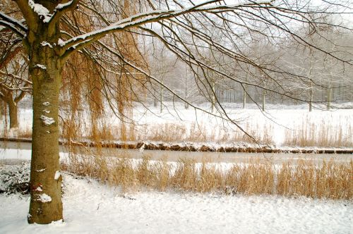 winter nature season