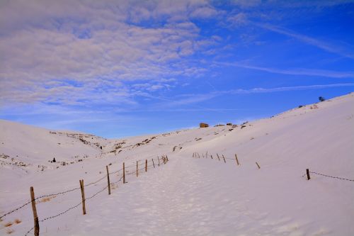 winter snow outdoors