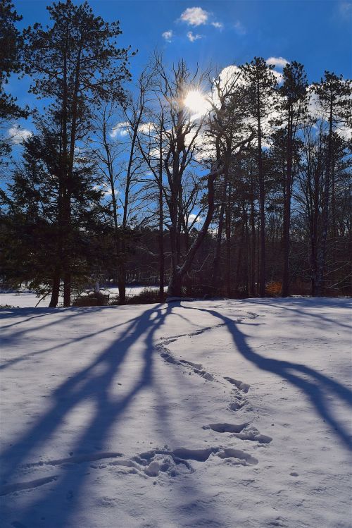 winter snow shadow