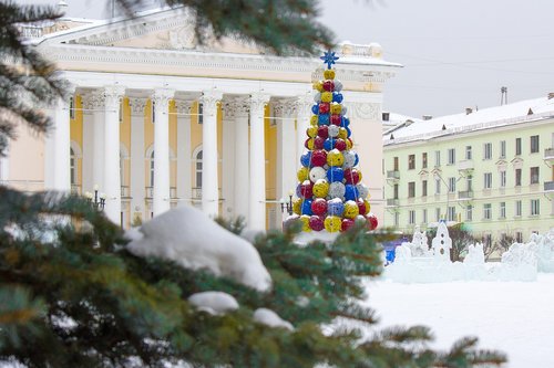 winter  snow  tree