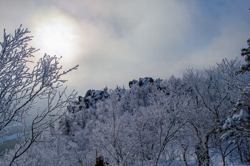 winter  snow  coldly