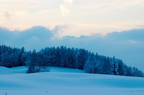 winter  landscape  blue