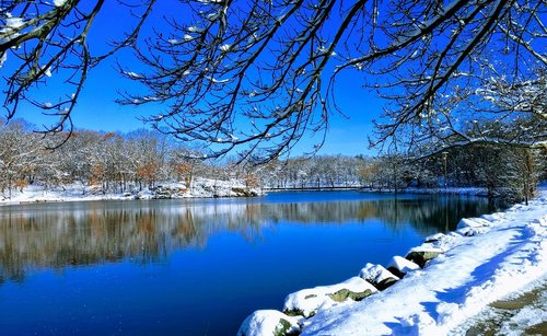 winter  massachusetts  olmsted