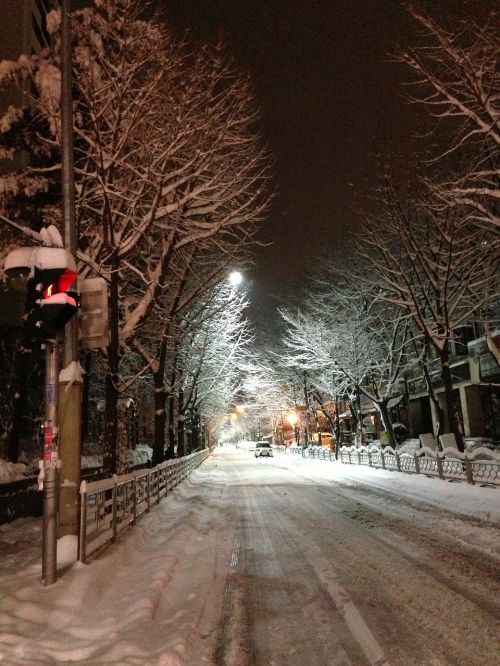 winter night snow