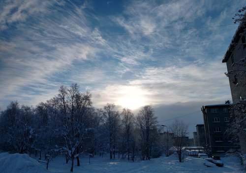 winter  sunset  trees