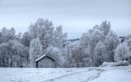 winter  frosted  house