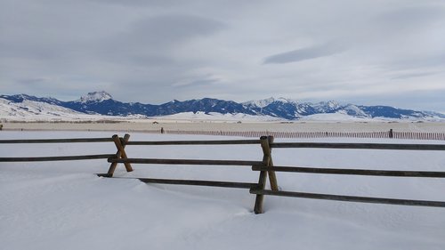 winter  snow  fence