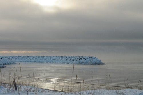 winter  landscape  arctic