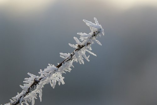 winter  landscape  ice