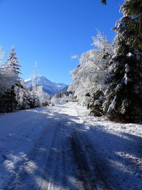 winter  landscape  snow