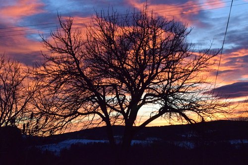 winter  sunset  slovenia