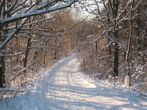 winter  snow  morning