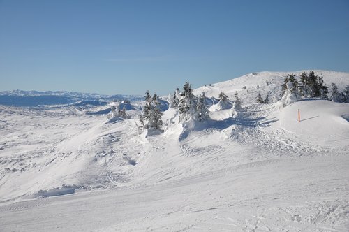 winter  snow  landscape