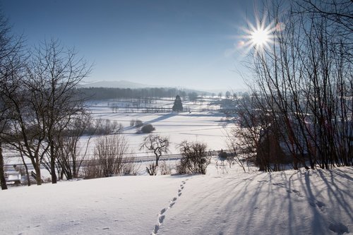 winter  traces  wintry