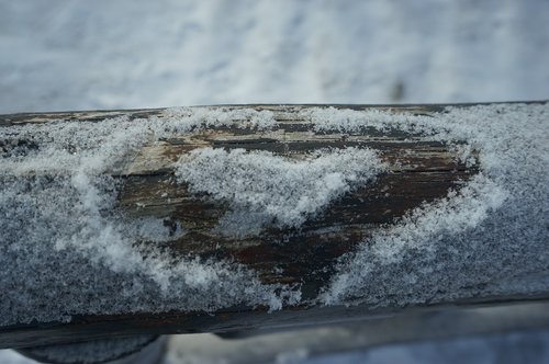 winter  snow  nature