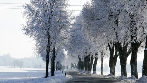 winter  snow  bavaria