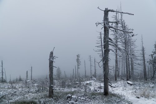 winter  mountains  hurricane