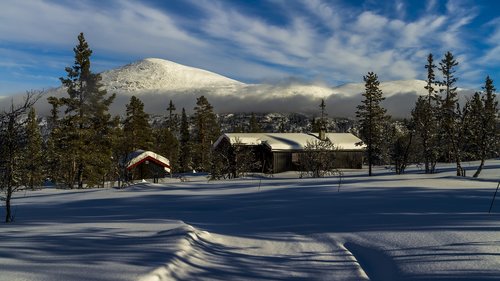 winter  snow  cottage