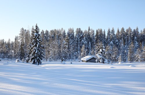 winter  lapland  barn