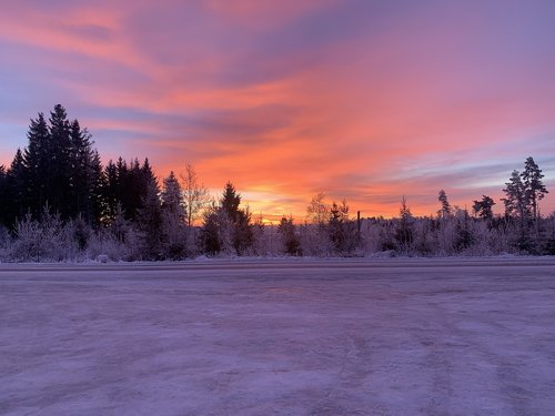 winter  landscape  nature