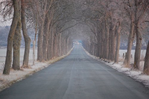 winter  icy  avenue