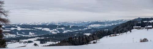 winter  snow  landscape